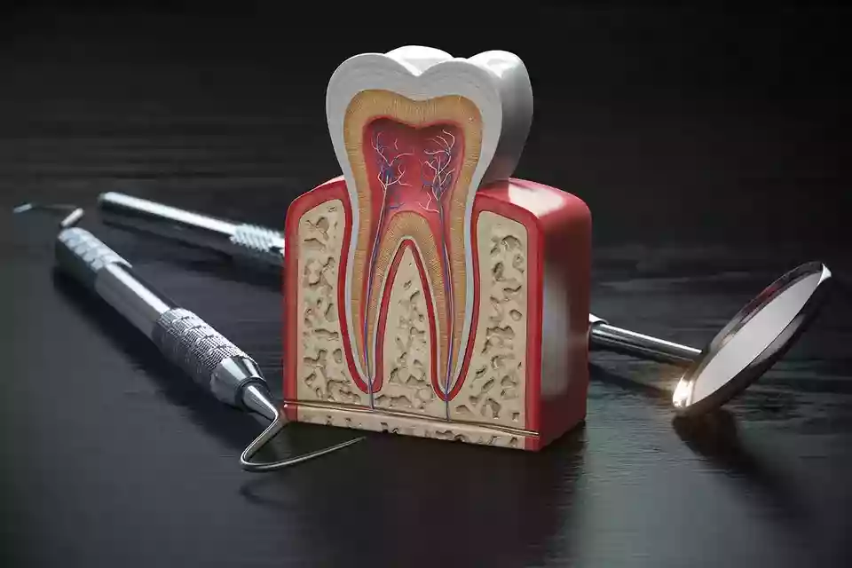 Bodrum Oral Surgery Procedures apicoectomy