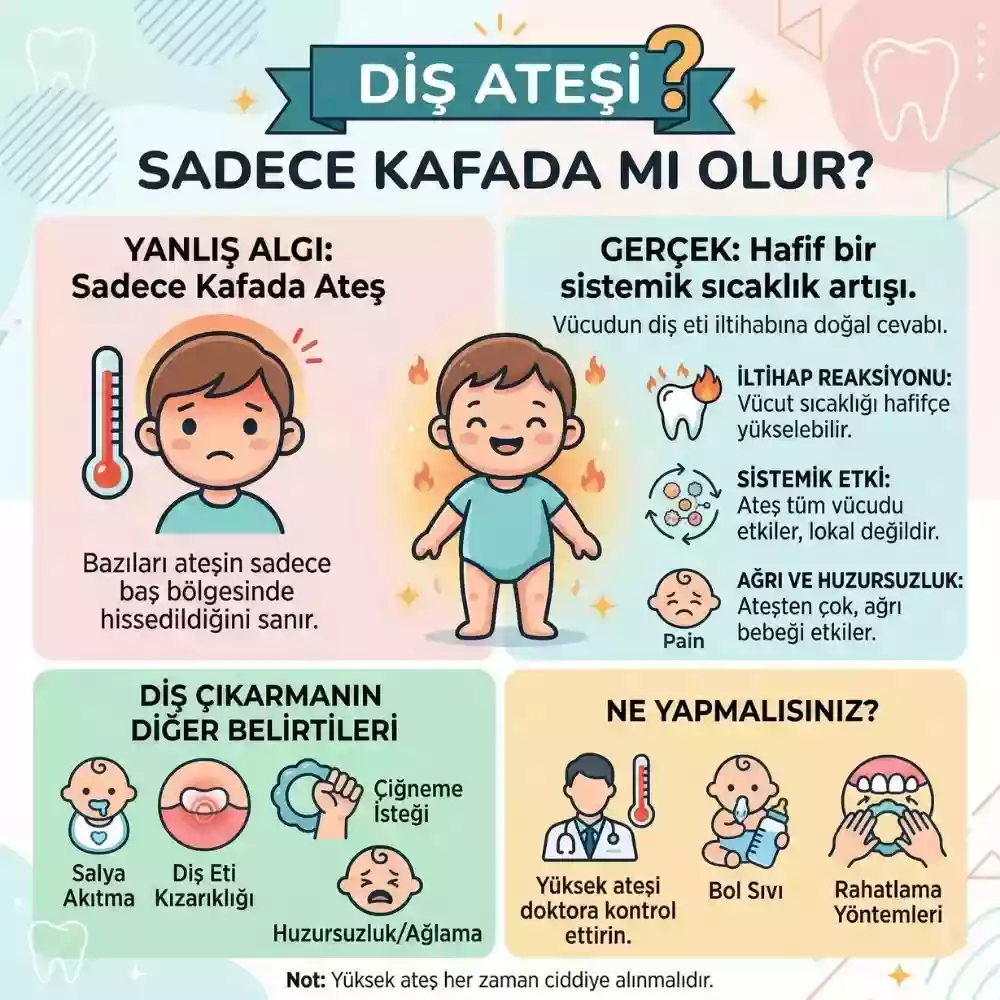 Diş Ateşi ile Hastalık Ateşi Arasındaki Farklar – Bölgesel Isı Artışı