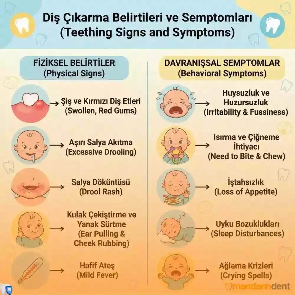 Diş Ateşi ile Hastalık Ateşi Arasındaki Farklar – Diş Etinde Kızarıklık