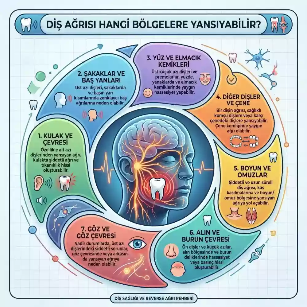 Diş Ağrısı Göze Vurur Mu? Yansıyan Diş Ağrısı Nedir? – Baş Ağrısı Uyumsuzluğu